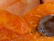 On Tap Oil & Vinegar (Blenheim) Apricot