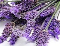 On Tap Oil & Vinegar Lavender
