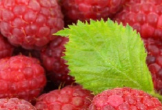 On Tap Oil & Vinegar (Cascadian) Wild Raspberry