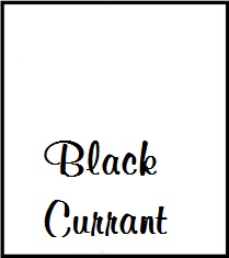 Black Currant Tea