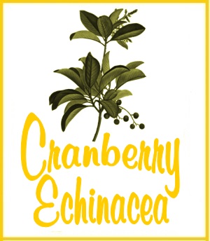 On Tap Cranberry Echinacea Tea