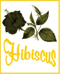 Hibiscus Tea