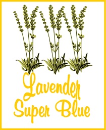 Lavender Super Blue Tea